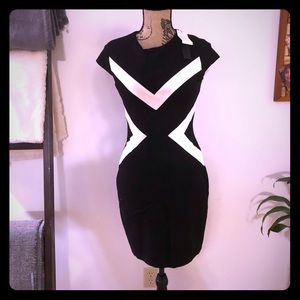 NWT!! Cynthia Syeffe Black & White Fitted Dress